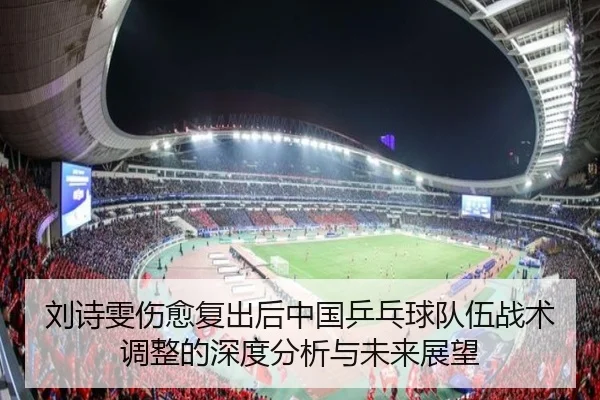 刘诗雯伤愈复出后中国乒乓球队伍战术调整的深度分析与未来展望